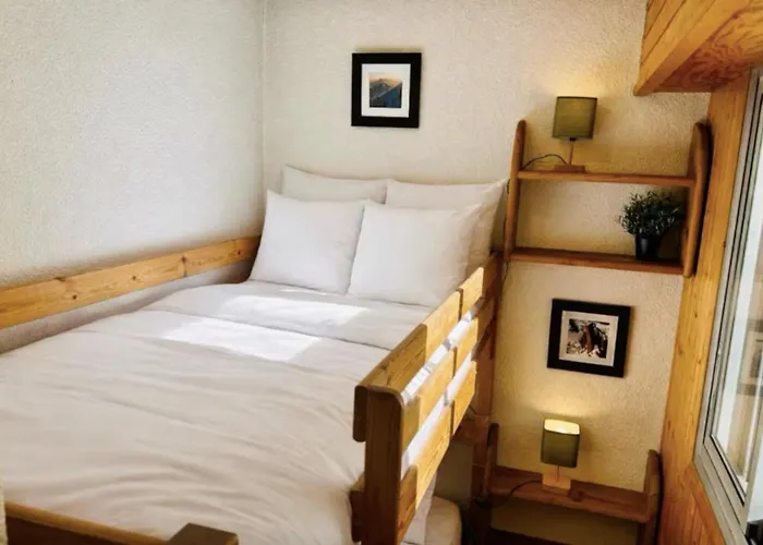 Mont-blanc View Skiing Parking Chamonix