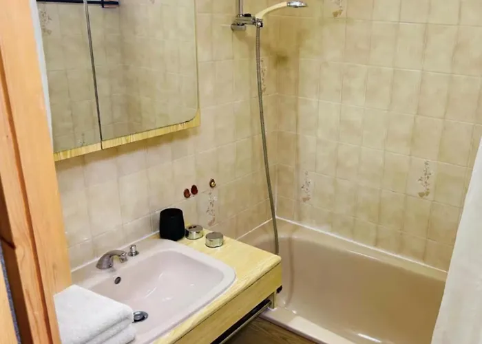 Mont-blanc View Skiing Parking Chamonix