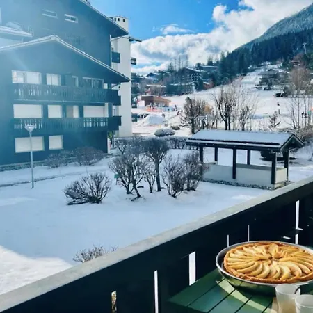 Renovated Flat With Mont Blanc's View Parking Chamonix