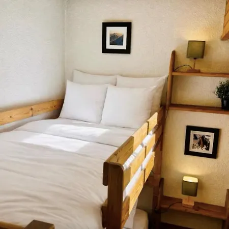 Mont-blanc View Skiing Parking Chamonix Mont Blanc