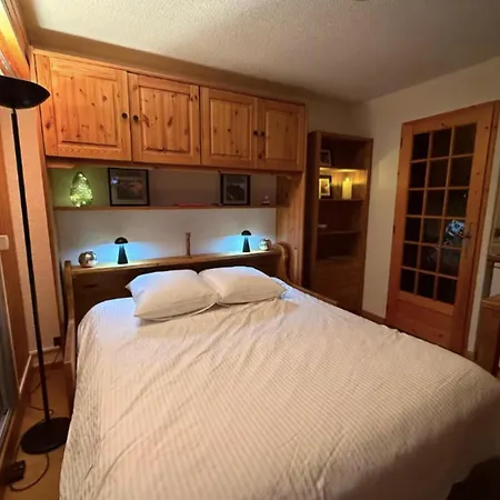 Mont-blanc View Skiing Parking *