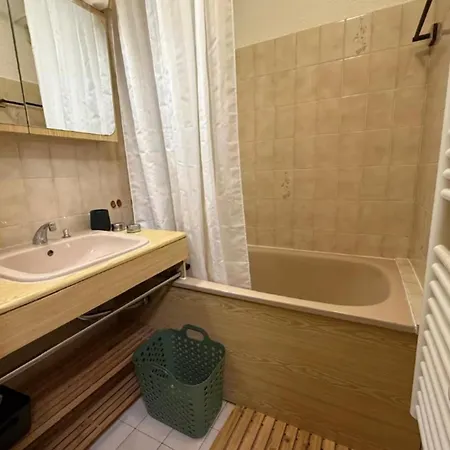 Renovated Flat With Mont Blanc's View Parking Apartament Chamonix