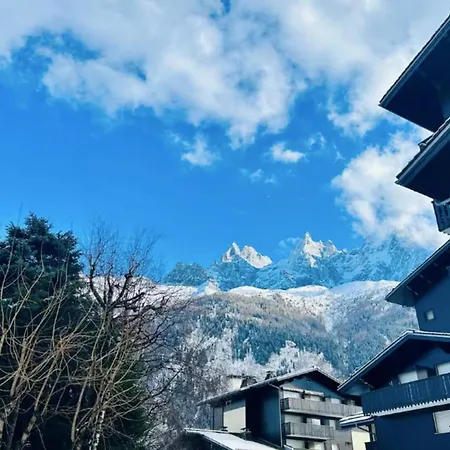 Renovated Flat With Mont Blanc's View Parking Chamonix