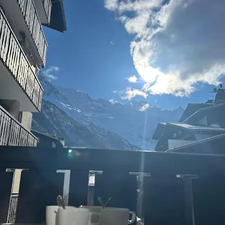 Apartament Renovated Flat With Mont Blanc's View Parking *