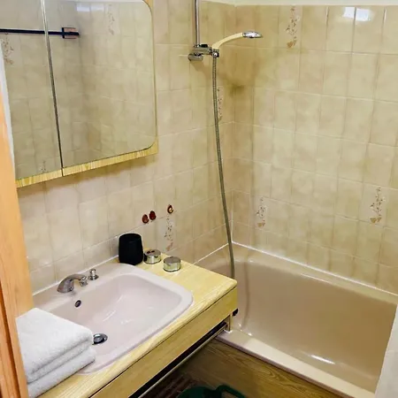 Apartament Renovated Flat With Mont Blanc's View Parking