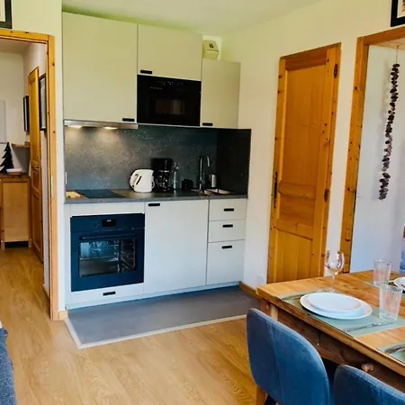 Apartament Renovated Flat With Mont Blanc's View Parking Chamonix