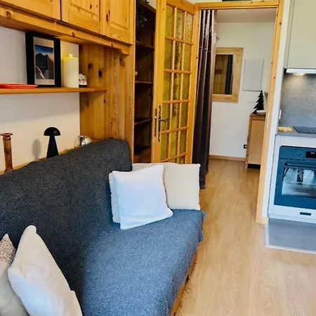 Renovated Flat With Mont Blanc's View Parking *