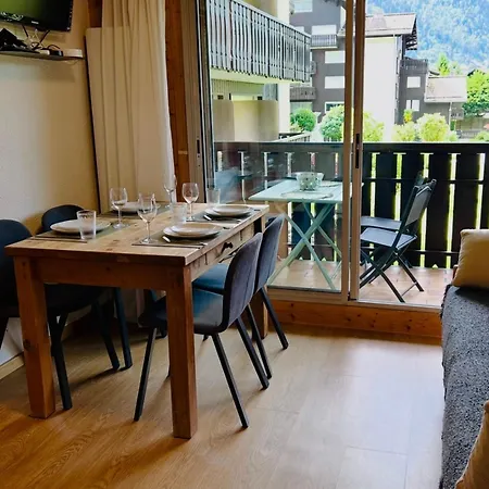 Renovated Flat With Mont Blanc's View Parking Chamonix