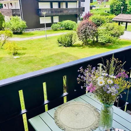 Renovated Flat With Mont Blanc's View Parking Apartament *