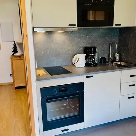 Renovated Flat With Mont Blanc's View Parking Apartament