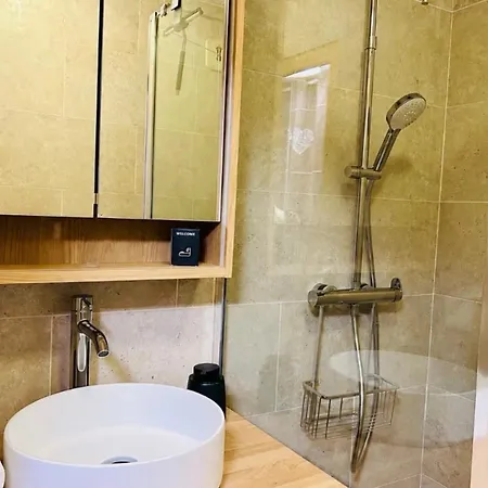 Renovated Flat With Mont Blanc's View Parking * Chamonix