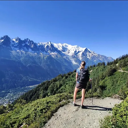 Renovated Flat With Mont Blanc's View Parking Chamonix