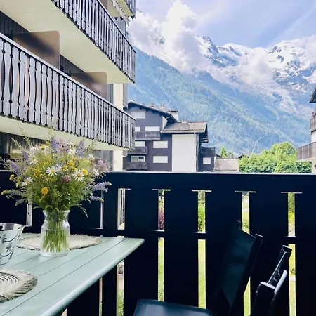 Renovated Flat With Mont Blanc's View Parking * Chamonix