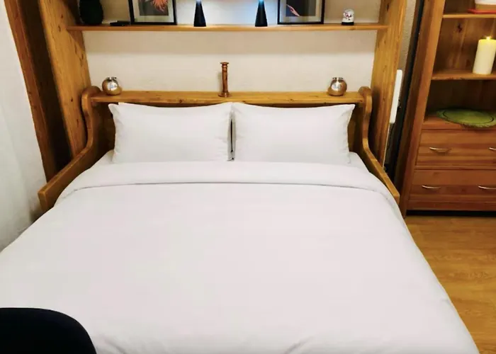 Mont-blanc View Skiing Parking * 霞慕尼