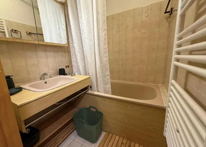 Mont-blanc View Skiing Parking 公寓 霞慕尼